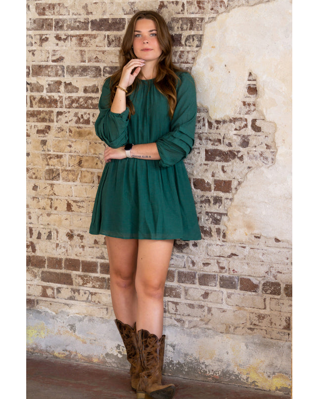 The Ivy Mini Dress image 0